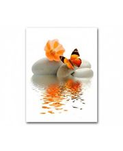 Morin Corinne image 1