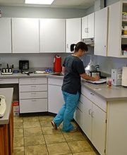 The Village Veterinarian image 2