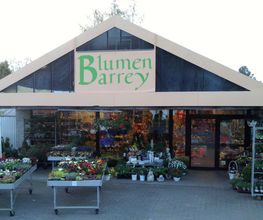Blumen Barrey Bild 1
