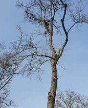 M.B.Elagage image 15