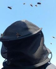 Lefevre Sébastien E.I image 3