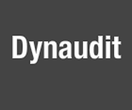 Dynaudit image 2