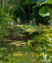 Besl Bischoff Gartenbau und Gartenpflege AG Bild 3