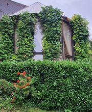 Garten- und Landschaftspflege Ulmann Bild 5