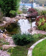 M. Murer Gartenbau GmbH Bild 11