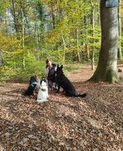 Nadine Zitzer Pfotenteam Bild 2