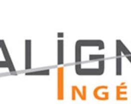 Alignum image 1