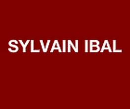 Sylvain Ibal SARL image 2