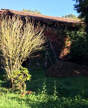 Thuilier Patrick image 7