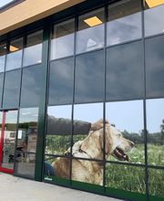 Geldermalsen Welkoop NF