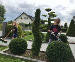 CREATIVE GARDEN Bild 1
