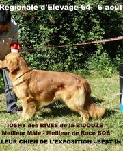 Elevage des Rives de la Bidouze image 13