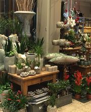 Blumen Interfleur Floristik & Wohnaccessoires Bild 7