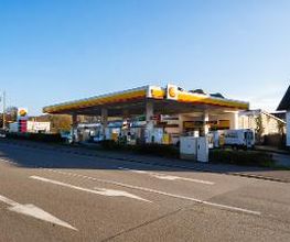 Shell Bild 1
