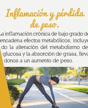 4_IMAGEN_Asesoramiento_nutricional.png