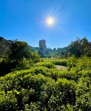 Tour in Rome immagine 5