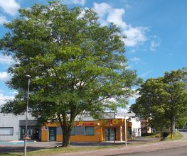 Toublanc Hervé image 11