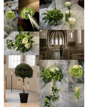 Birkner Blumen Bild 5