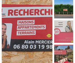 Mercier Alain image 2