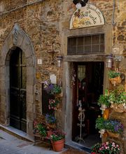 Gallery Professionale