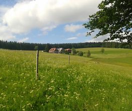 Ferienparadies Althäuslehof Bild 13