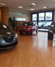 Gallery Cliente