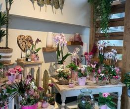 Galley fleurs Bild 5