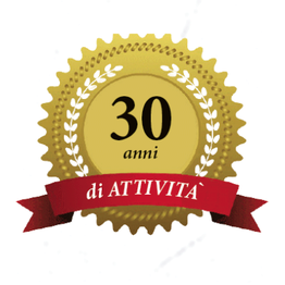 Punto Sistem Gianfranco di Domenico logo