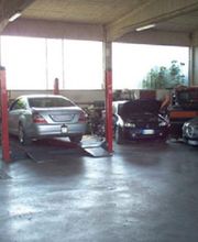 Gallery Cliente