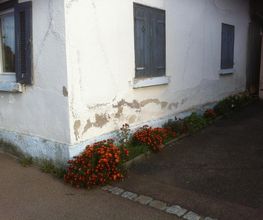 DIROBA Bild 1
