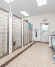 State Road Animal Hospital image 3