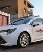 Carreisen + Taxi Vogel Bild 8