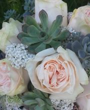 Atelier Cagna-Fleurs Bild 11