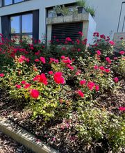 AZ Garten+Haus Service GmbH Bild 8