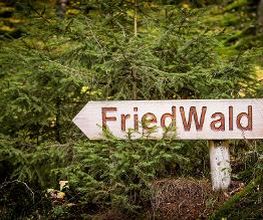 FriedWald Wildenburger Land Bild 8