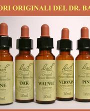 Farmacia Solari Bild 3