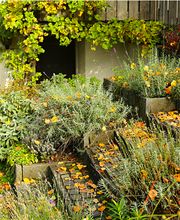 Villiger Arnosti Gartenbau AG Bild 2