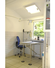 Tierarztpraxis Steinel Jonas Dr. Bild 4