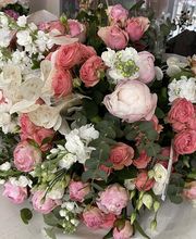 Morisset Sylvie image 7