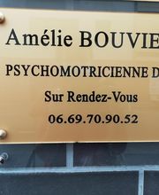 Bouvier Amelie image 1