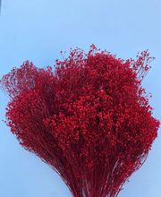 NATURA - FIORI SECCHI PAPA immagine 12