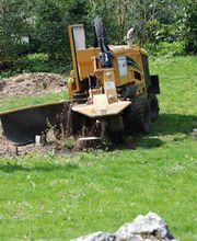 Manfred Merkl Bild 4