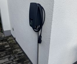 IMG_8135.jpeg