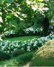 MARTIN ET MARTIN SA Bild 4