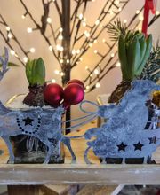 Envolée Florale image 7