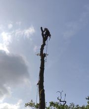 A.D.S Services image 17