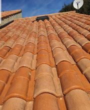 Renard Dianni image 17