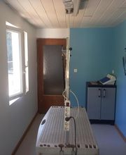 Canin Félin Toilettage image 11