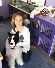 Taylor Animal Hospital of Parkville image 9