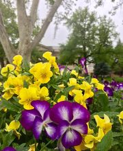 Cutting Edge Landscape Nampa image 6